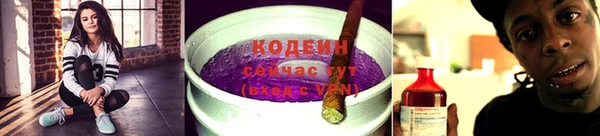 стаф Узловая